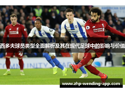 西多夫球员类型全面解析及其在现代足球中的影响与价值