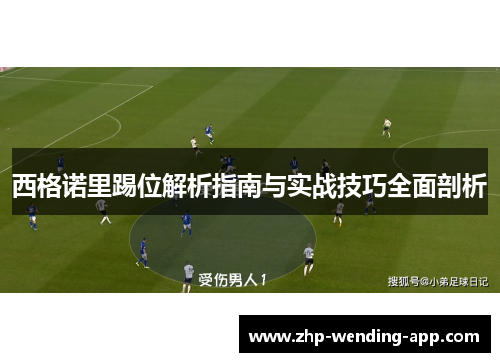 西格诺里踢位解析指南与实战技巧全面剖析