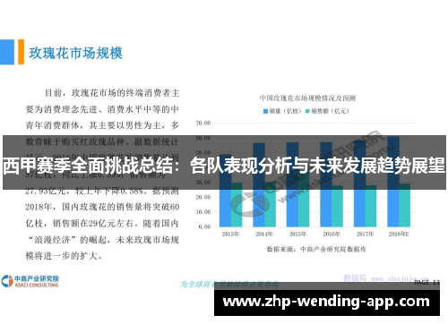 西甲赛季全面挑战总结：各队表现分析与未来发展趋势展望